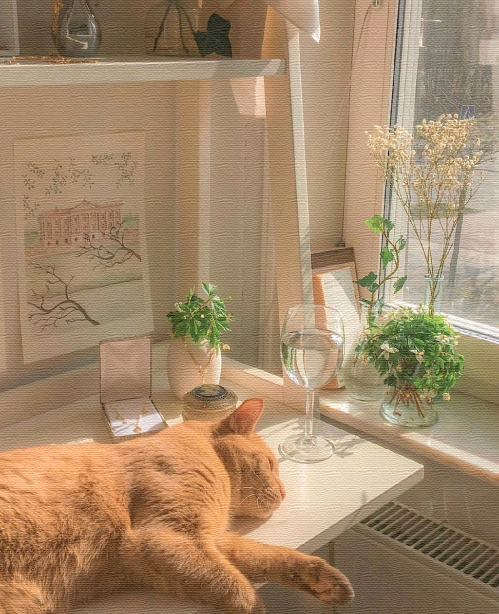 Git 的安装与配置