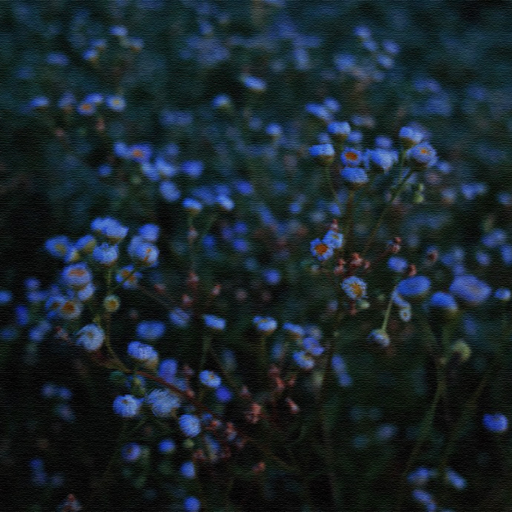 使用Marp将Markdown导出为静态网页