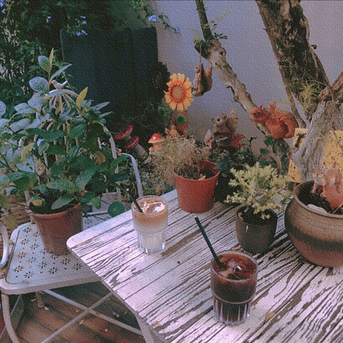 破解欧路词典Mac版